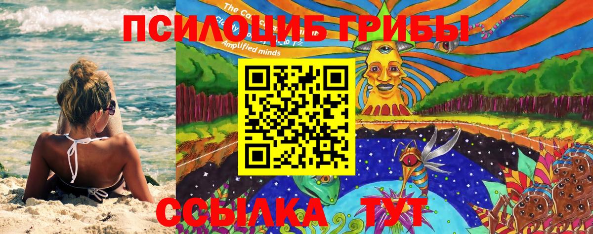 Галлюциногенные грибы GOLDEN TEACHER Великие Луки